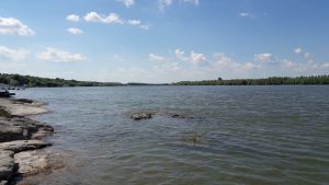 20170620_154546[1]