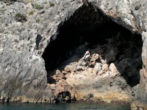 IMG_20170719_093551