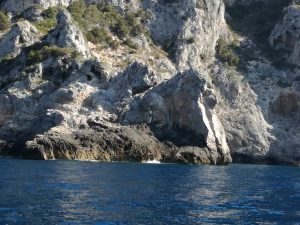 IMG_20170719_094107